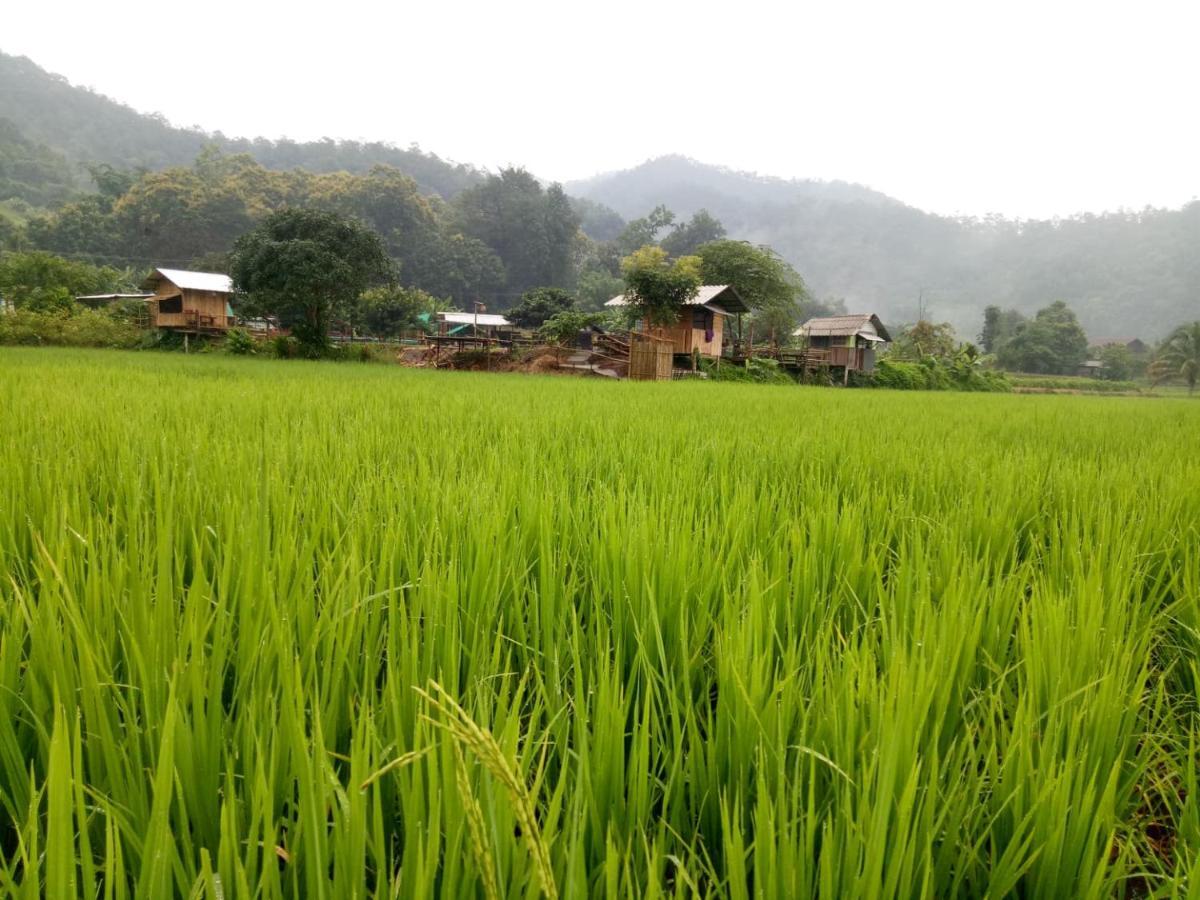Samoeng Fishing Park Home Stay エクステリア 写真