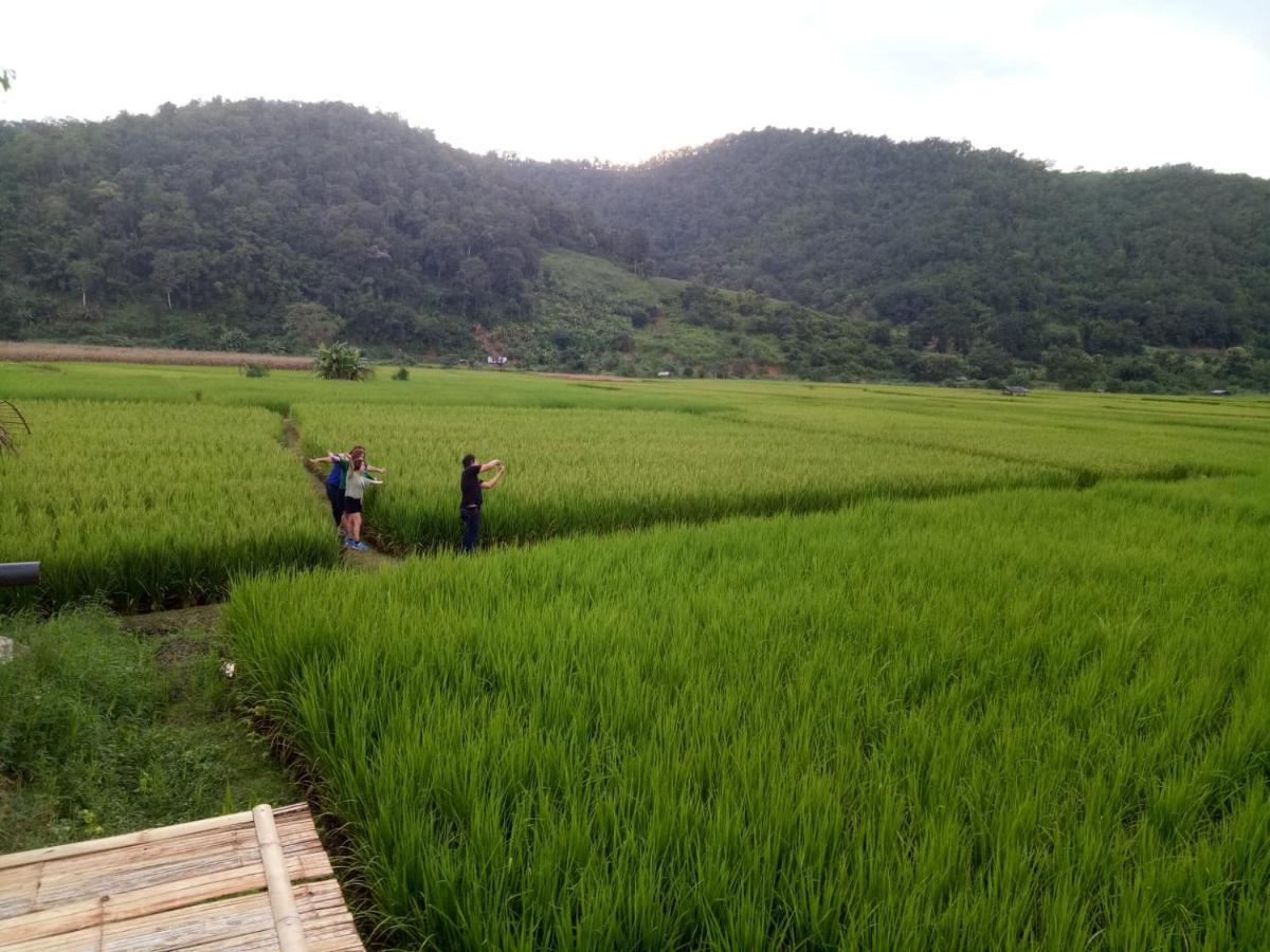 Samoeng Fishing Park Home Stay エクステリア 写真